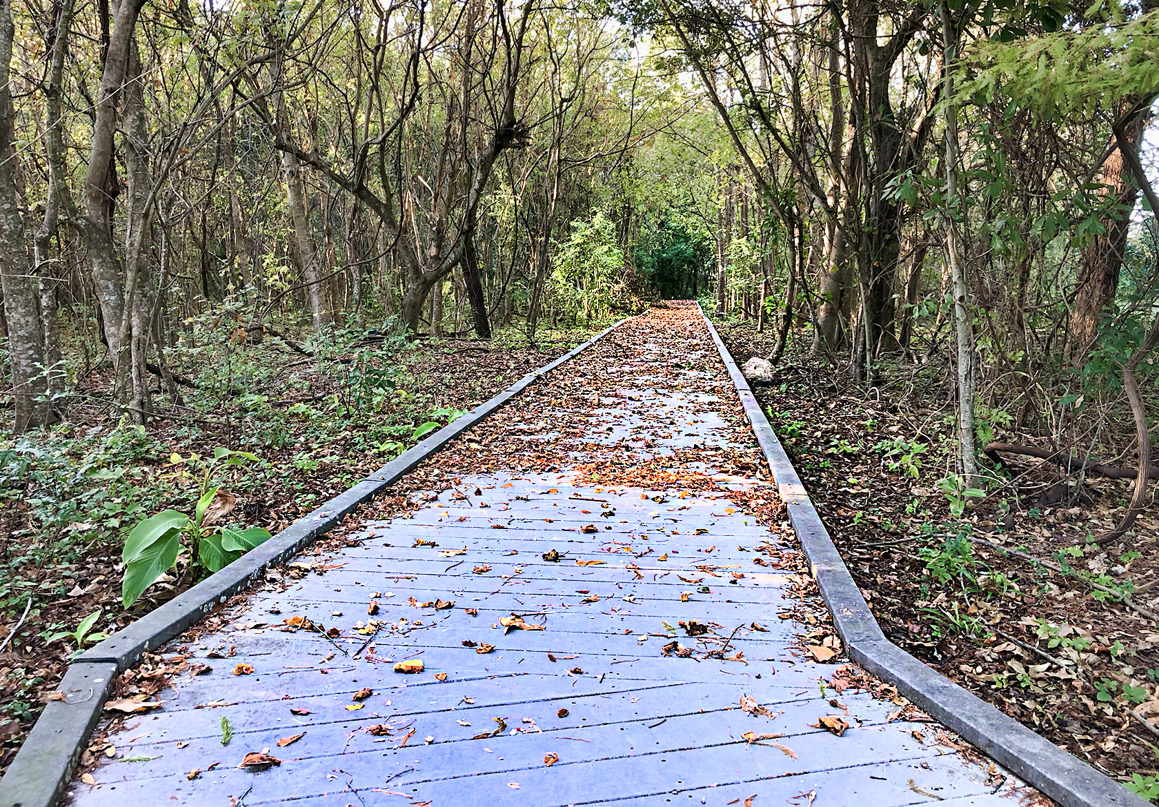 La Salle park trails in Metairie - nola places photo