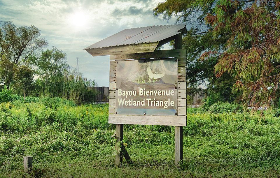 bayou bienvenue wetlands viewing area - nolaplaces photo