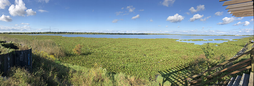 bayou bienvenue wetlands pano - nola places