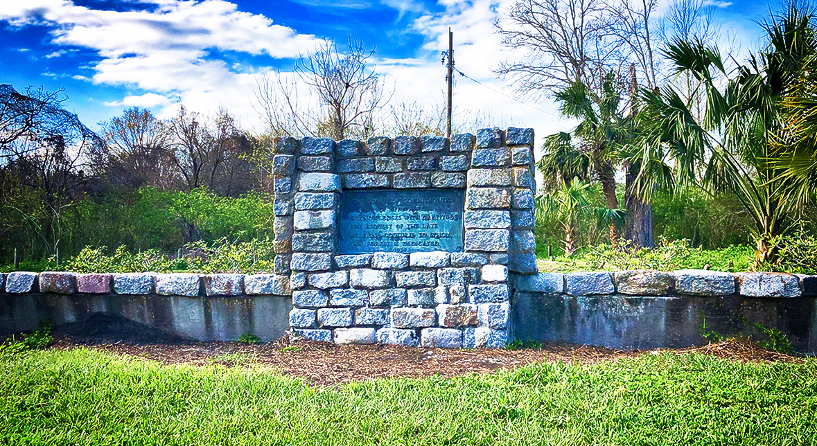 couturie forest city park new orleans - nolaplaces photo